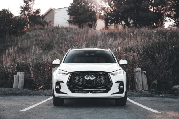 Wildz Casino Android/iOS Forrit